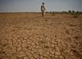 Below-Average Rainfall Forecast Threatens East Africa’s Crop Yields