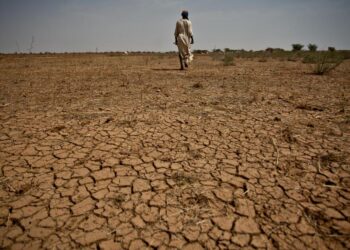 Below-Average Rainfall Forecast Threatens East Africa’s Crop Yields