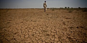 Below-Average Rainfall Forecast Threatens East Africa’s Crop Yields