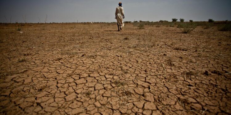 Below-Average Rainfall Forecast Threatens East Africa’s Crop Yields