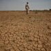 Below-Average Rainfall Forecast Threatens East Africa’s Crop Yields